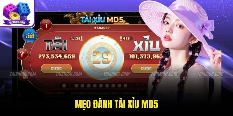 Mẹo Đánh Tài Xỉu Md5 Hiệu Quả Giúp Người Chơi Tăng Tỷ Lệ Thắng